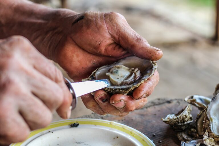 oyster shucking