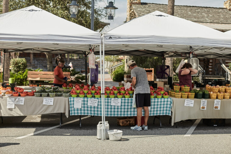 food safe farmers market