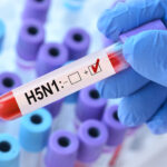 H5N1