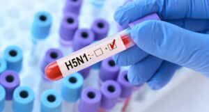 H5N1