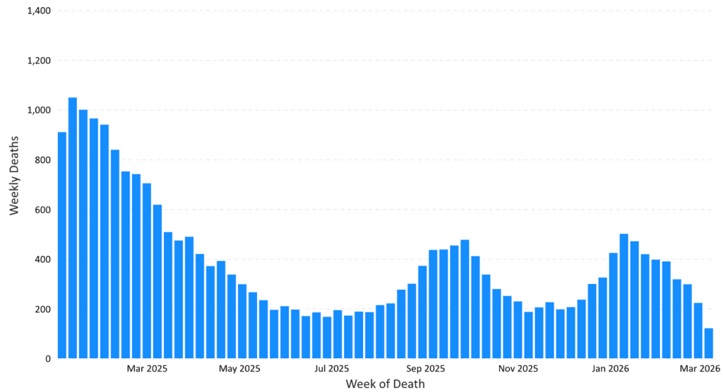 Fresh or Frozen: Produce Is a Nutritious Option