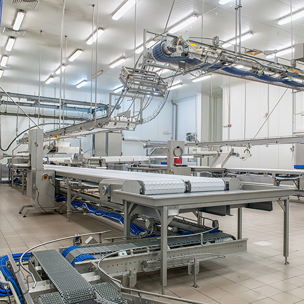 TAG can assist with your sanitation and hygienic design