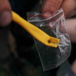 Ticks