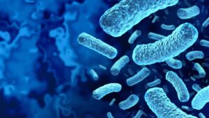 Listeria